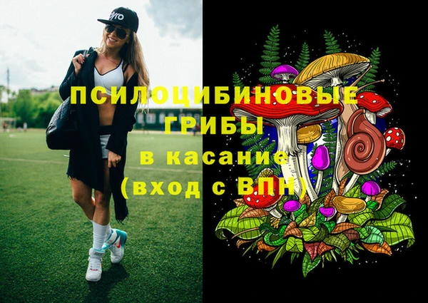 МДПВ Волоколамск